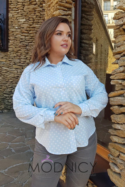 Женская блуза Горошек 0233,29, фото 1